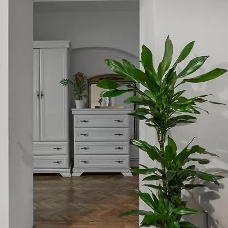 Valentina's Flat Braşov